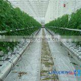 Hydroponics System for Greenhouses thumbnail-2