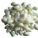 OULENO Small Garlic Ginger Garlic Mashed Garlic Machine Machine Cutter Small Household Cooking Machine Qiecai Mashed Garlic Saus thumbnail-4