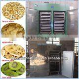 Stainless Steel Fruit Chips Tray Drying Oven thumbnail-1