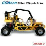 250cc EEC/EPA Racing Kart thumbnail-4