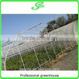 Galvanized Steel Tube Frame Greenhouse Commercial Greenhouse thumbnail-3