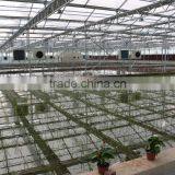 Commercial Greenhouse thumbnail-3