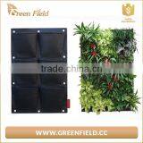 Vertical Green Wall System and Vertical Garden Modules for Vertical Hydroponic Systems thumbnail-4