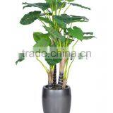 Artificial Bonsai Tree Artificial Taro Simulation Trees thumbnail-3