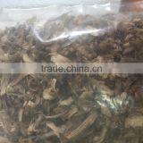 HIGH QUALITY OUD/AGAR WOOD CHIP CRUMB thumbnail-1