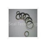 Corrosion-resistant Hydraulic Cylinder Piston Seal, High Performance Rubber Seals thumbnail-1