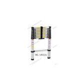 Aluminium Telescopic Ladder