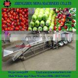 Sweet Potato Grading Machine/ Pear Fruit Washing Drying Waxing Grading Machine thumbnail-2