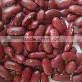 Organic Red Kidney Bean thumbnail-2