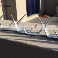 Coil Nail thumbnail-2