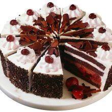 Ultrasonic Frozen Cake Cutting Machine With Paper Inserts Meishun Cutting thumbnail-4