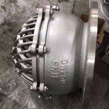 10 Inch Soft Seal Stainless Steel Cost Effective Manual Water Pump Foot Valve Brass Non Return Valve thumbnail-6