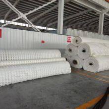 Polyester Fiber Protective Net h Pet600 - 400ms, Plastic False Roof Net for Underground Coal Mines, Final Mining 402kn thumbnail-2
