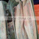 Frozen Mahi-mahi Fillets and Coryphaena Hippurus thumbnail-3