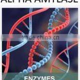 Alpha Amylase For Bread Improvers thumbnail-1
