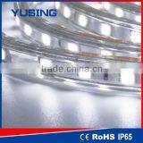 High Power 3 Years Warranty 60 LEDs/Meter 220V 5050 LED Strip