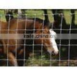 China Factory Hot Dipped Galvanized Galvanized Hinge Joint Fence / Field Fence