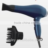 Professional Hair Dryer with AC motor