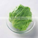 Yunnan Organic Vegetables Top Grade Lettuce on Sale Farm Planter on Sell thumbnail-4