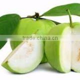 Natural Ripened White Guava Pulp