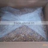 2015 New Crop Dried Light / Amber Half Walnut Kernels thumbnail-5