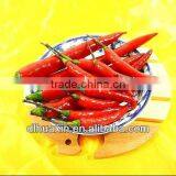 Dried Red Pepper thumbnail-1