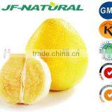 Grapefruit Powder ISO, GMP, HACCP, KOSHER, HALAL Certificated Manufacture thumbnail-2