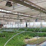 JINLONG China High Quality Greenhouse Air Circulation Fan thumbnail-4