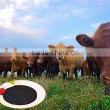 100% Purity Sodium Humate Food Grade Shiny Powder thumbnail-6