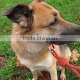 Recycled Climbing Rope & Carabiner Dog Leash - Red thumbnail-2