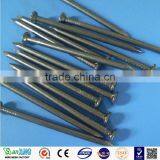 Common Nail Price of Iron Nail Factory thumbnail-1