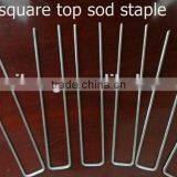 Anchor Pins for Frost Cloth, Weed Mat, Dog Fence, Landscape Sod Staples thumbnail-1