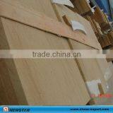 Point Stalk Outdoor Sandstone Paver thumbnail-1