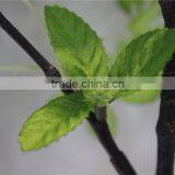 Artificial Flowers Wholesale Plastic Primroses thumbnail-3