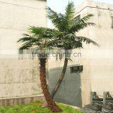 5m Tall Vertical Garden Artificial Curved Plant Plastic Fiberglass Trunk PE Plastic Leaf Palm Tree EZLS08 0813 thumbnail-1