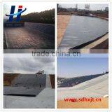 Geomembrane Type and Hdpe Material Waterproof Plastic Dam Liner thumbnail-2