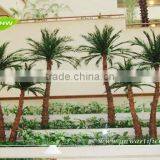 GNW APM016 Artificial Palm Tree Dubai for Christmas Decorations on Sale thumbnail-2