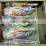 Panulirus Argus thumbnail-3