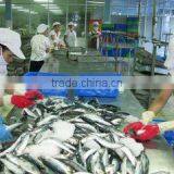 Viet Seafood And Agricultural Products Company Limited company overview - view 1 thumbnail