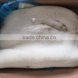 Frozen Giant Squid Fillets thumbnail-1