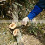 Best Seller and Biggest Amazon Supplier Small MOQ Outdoor Camping Pocket Hand Chain Survival Saw thumbnail-5