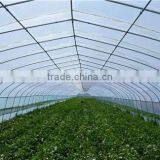 Single Span Plastic Film Agricultural Greenhouses for Vegetable thumbnail-1