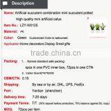 Artificial Succulent Combination Mini Succulent Potted High Quality Mini Artificial Catus thumbnail-2