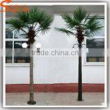 Wholesale Lighted Palm Trees Customized Outdoor Led Street Light thumbnail-5
