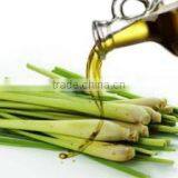 Lemon Grass Oil thumbnail-4