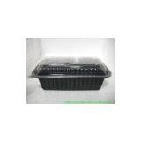 Rectangle Shape Microwaveable PP Box ( 24 oz ) thumbnail-1