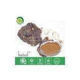 Polyporus Umbrellatus Extract