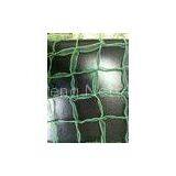Green HDPE Slope Netting / Mesh Net, Square Mesh Netting and Stretch Planting Net for Environmental