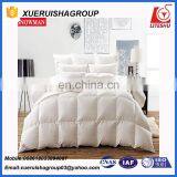 300TC 100% Cotton Hotel Bed Set Goose Duvet thumbnail-1