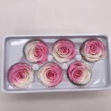 Preserved Rose Preserved Flowers Dried Flowers Birthday Valentine Party Wedding thumbnail-1